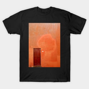 Door in Terracotta wall T-Shirt